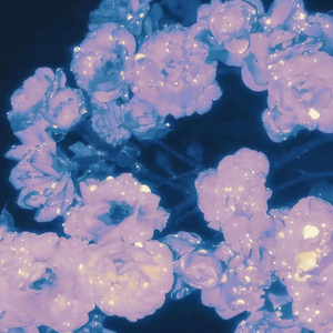 人娶斩c0930在线播放最新章节
