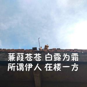 人娶斩c0930在线播放最新章节
